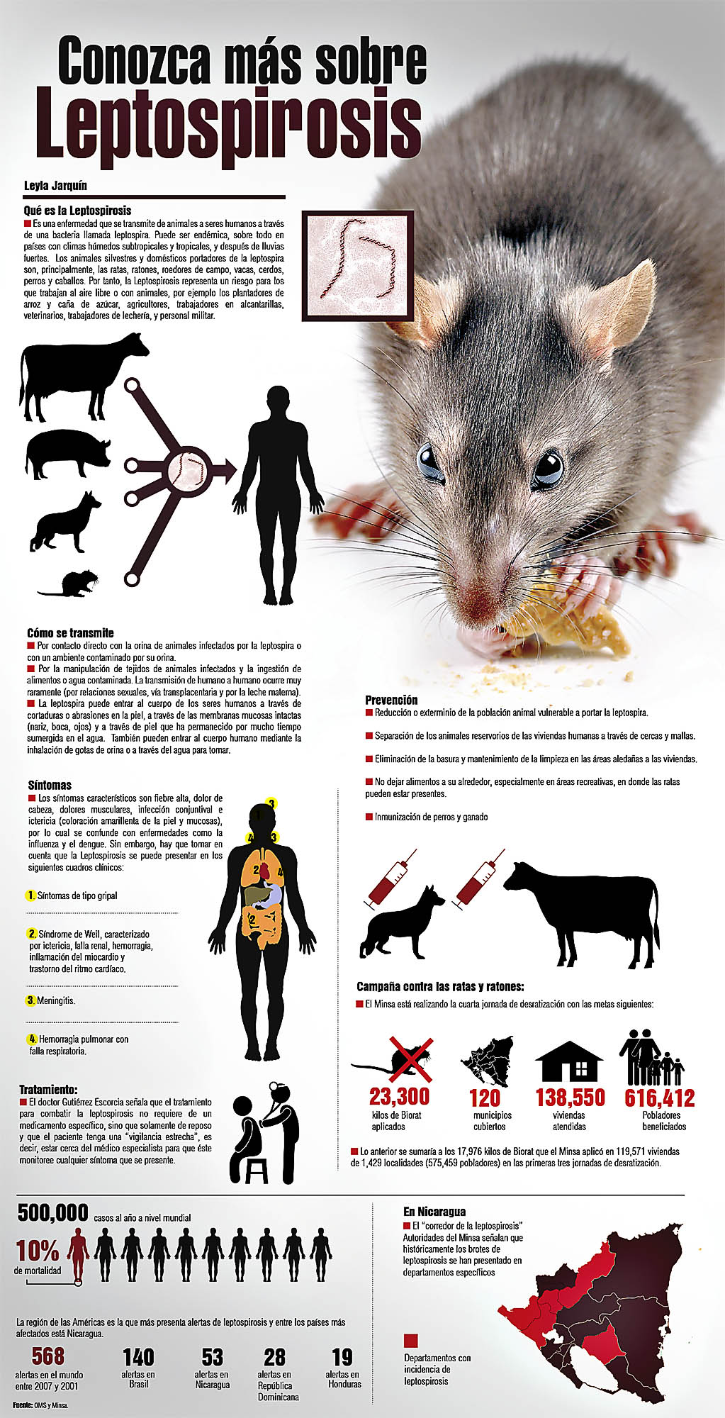 leptospirosis rash - pictures, photos