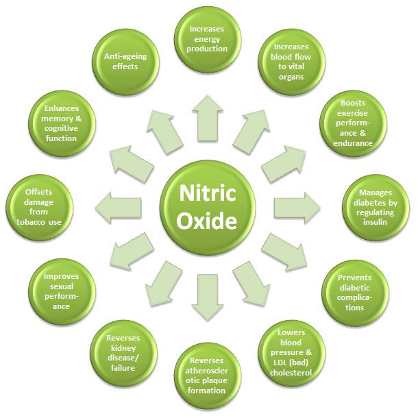 Nitric Oxide Functions Pictures Photos nitric-oxide-functions-pictures-photos