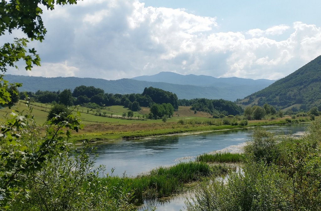 pleva rash pictures, photos