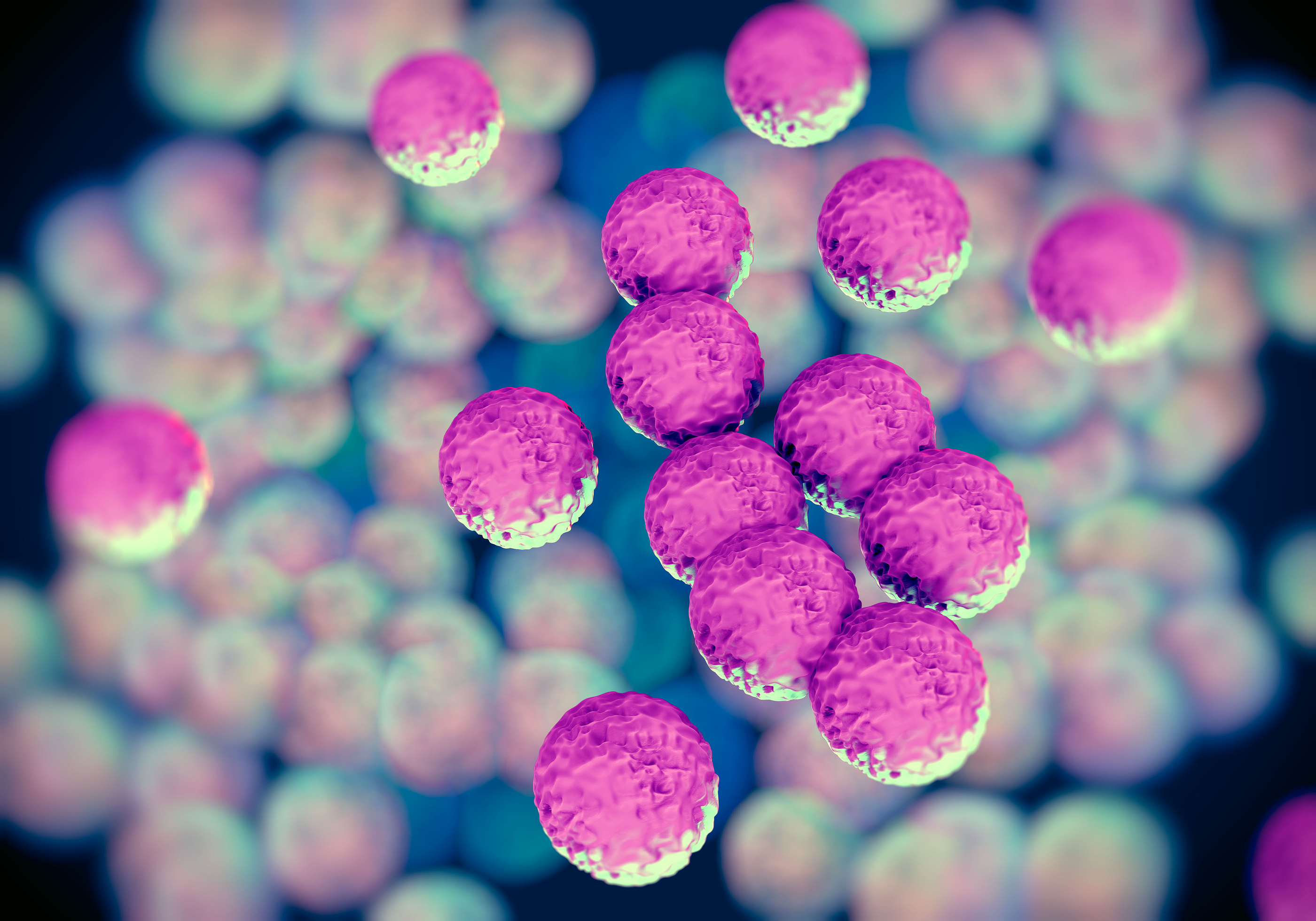 Mrsa Bacteria Picture - Pictures, Photos