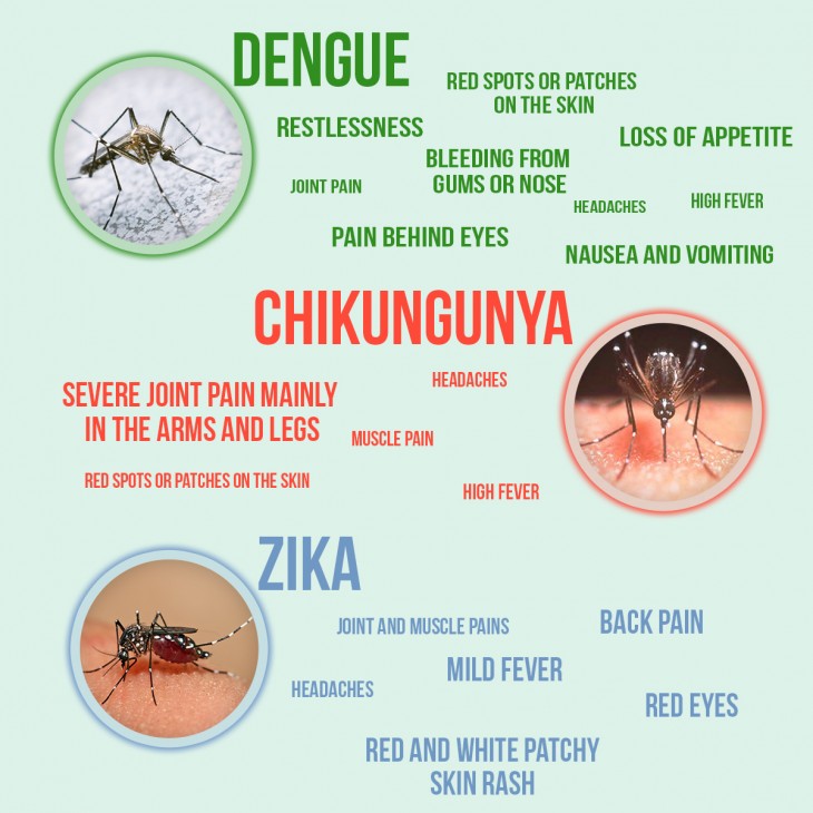 chikungunya rashes - pictures, photos