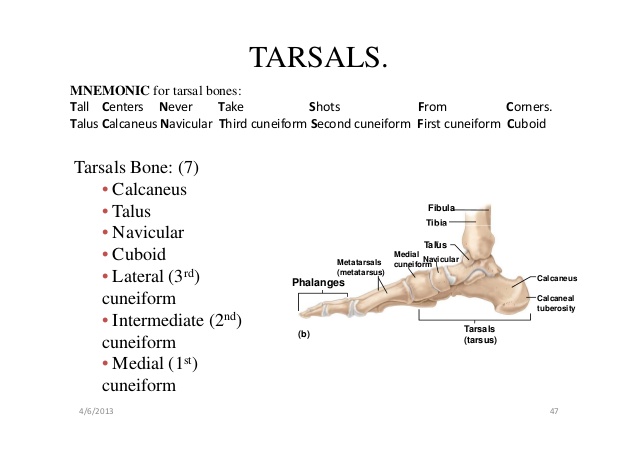 foot-disease-names-pictures-photos