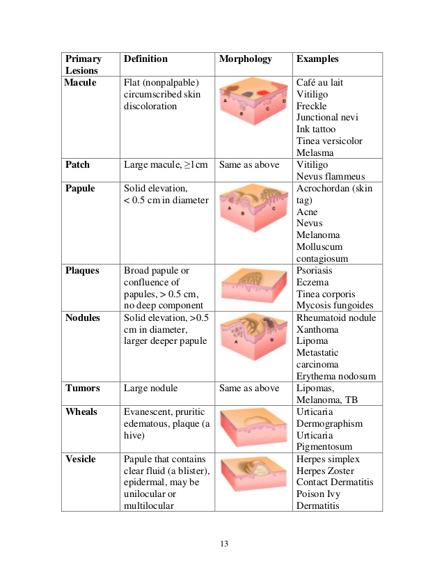 Derm Medical Term - Pictures, Photos